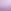 Charmed Violet Purple