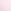 Pink Tulip