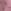 Pink Dog Print
