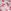 Pink Tulip Floral Print