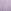 Sweet Lavender Purple