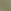 Fall Sage Green
