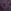 Shadow Purple