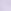 Sweet Lavender Purple