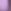 Lavender Purple
