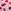 Pink Tulip Cherry Print