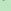 Green Octopus