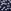 Navy Daisy