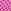Sizzling Strawberry Pink Polka Dots