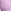 Alluring Lilac Purple