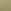 Fall Sage Green