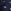 Navy Blue Dog Print