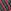 Christmas Red & Green Candy Cane Stripe