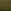 Olive Green Velvet