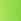 Bloom Green