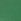 Forest Pine Green