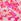 Pink Splash Floral