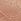 Praline Nude Lace