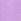Purple Petal With Shine Logo