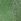 Forest Pine Green