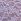 Star Lilac Purple Lace