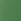 Forest Pine Green