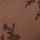 Brun