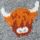 Grey Highland Cow