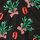 Black Mistletoe