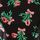 Black Mistletoe