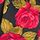 Black Glamorous Rose