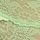 Pale Petal Green