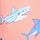 Shark