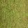 Limelight Green Dots