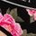 Black Floral