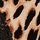 Leopard Brown