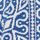 Blue/White