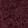 Plum Purple