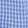 Blue Stripe Whale