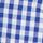 Blue Strawberry Gingham