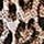 Leopard Brown