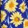 Navy Sunflower