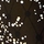 Into the Night