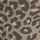 Grey Leopard