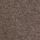 Dark Neutral