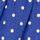 Blue Butterfly