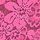 Pink Rose