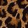 Leopard Brown