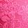Pink Rose