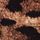 Leopard Brown